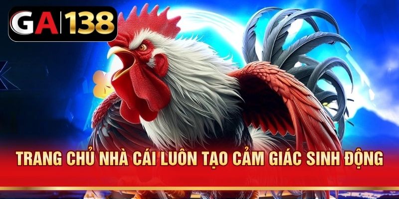 Trang chủ nhà cái luôn tạo cảm giác sinh động